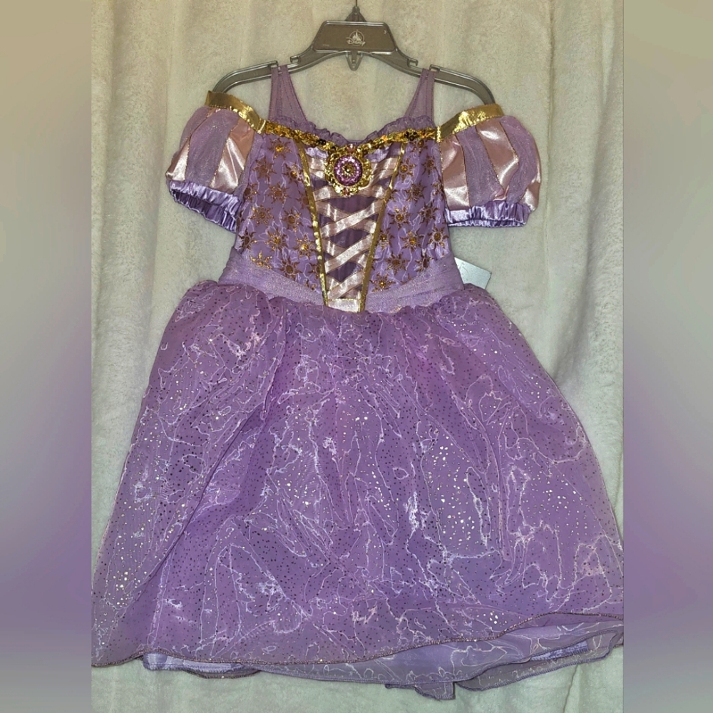 Disney Rapunzel Costume